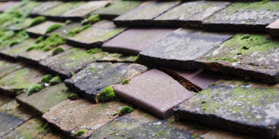 Childerley roof repair costs